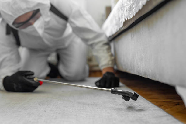 Professional Ant Control technician working in Flagtown, NJ