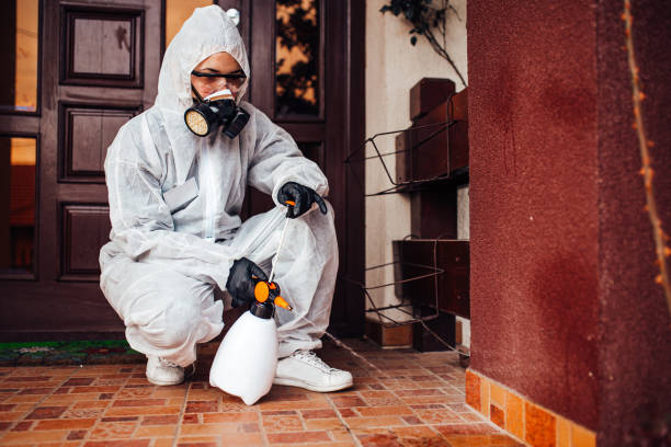Reliable Ant Control contractor in Flagtown, NJ by Nex Pest Control